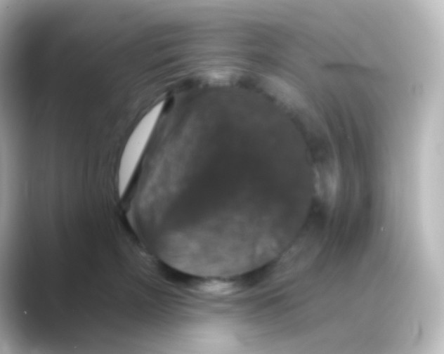 X0000088690718200706211927
