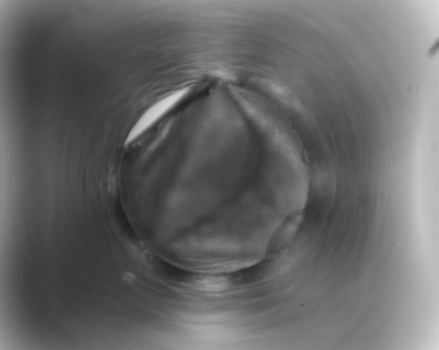 X0000088690719200706211927