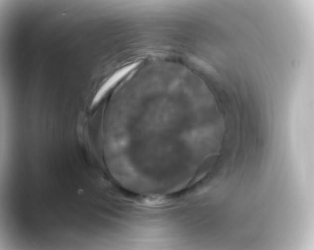 X0000088690720200706211927