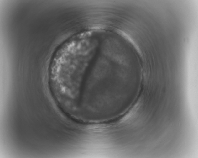 X0000088690721200706211926