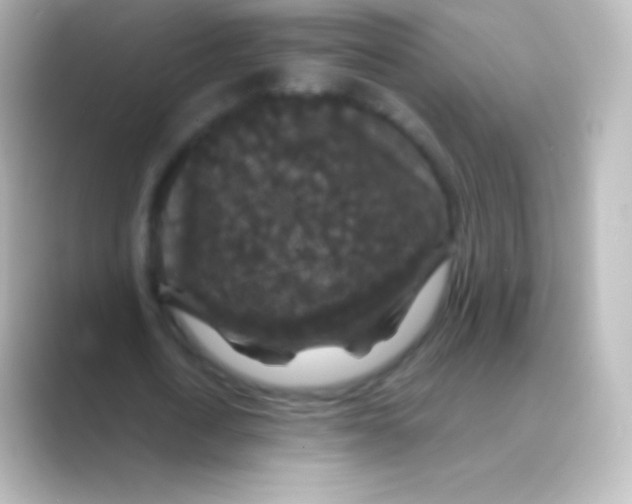 X0000088690722200706211926