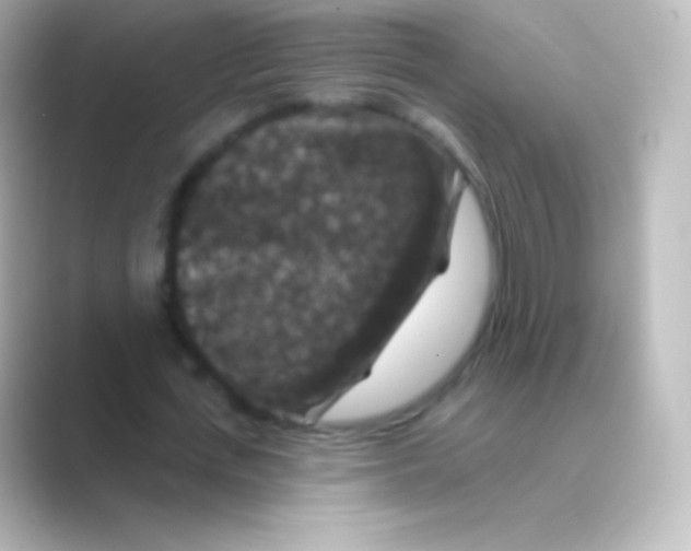 X0000088690723200706211926