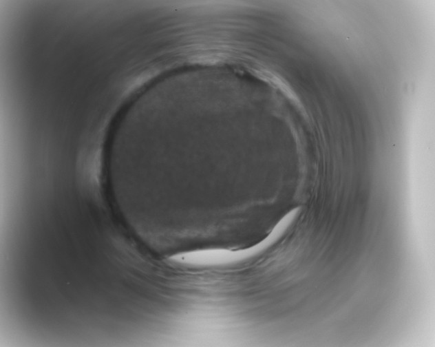 X0000088690724200706211926