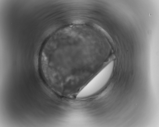 X0000088690725200706211926