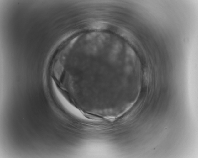 X0000088690726200706211926