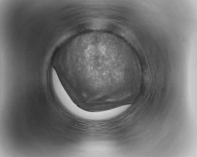 X0000088690727200706211926