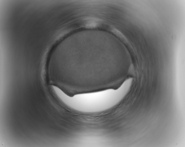 X0000088690728200706211926