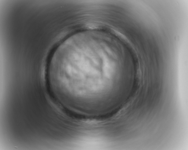 X0000088690730200706211926