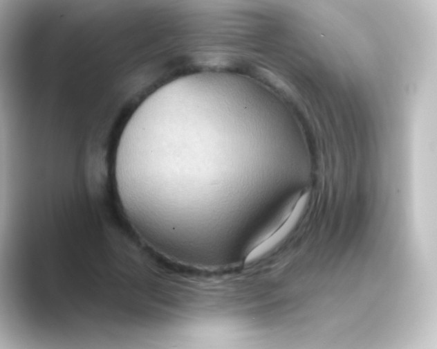 X0000088690731200706211926