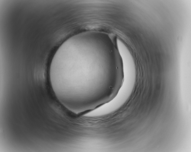 X0000088690732200706211926