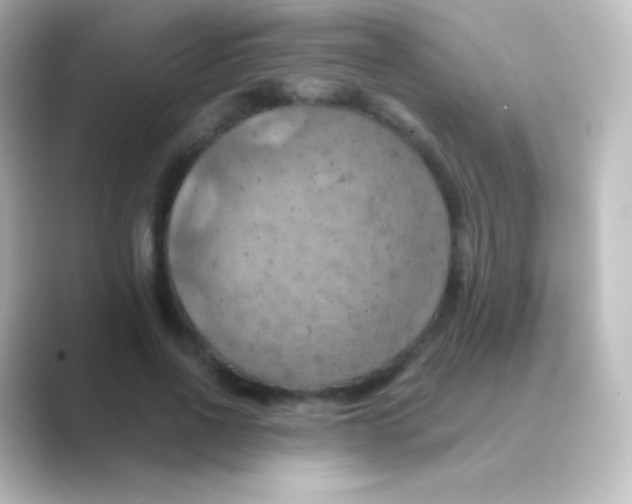 X0000088690734200706211926