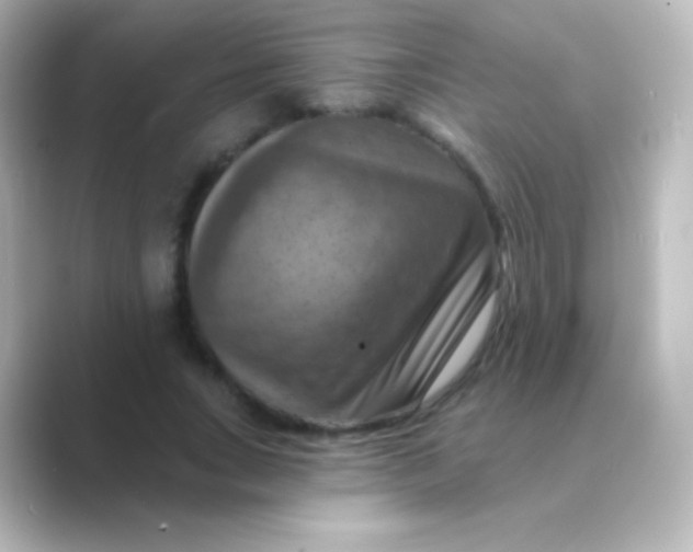 X0000088690735200706211926