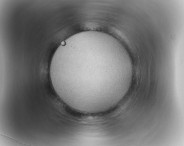 X0000088690737200706211926