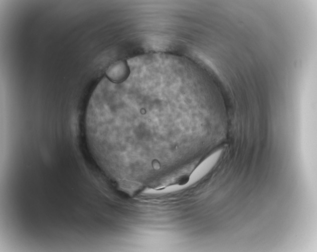 X0000088690738200706211926