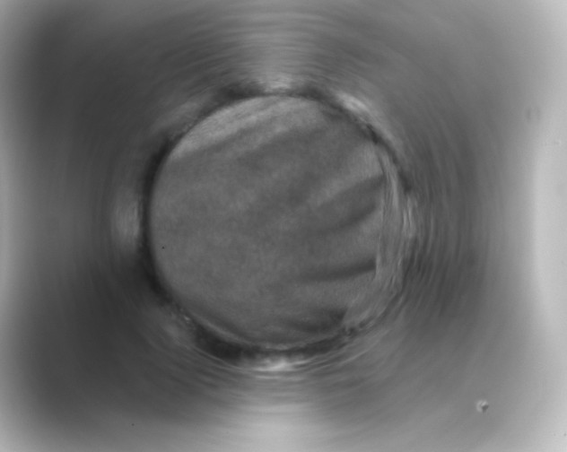X0000088690740200706211926