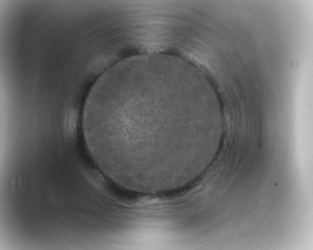 X0000088690742200706211926