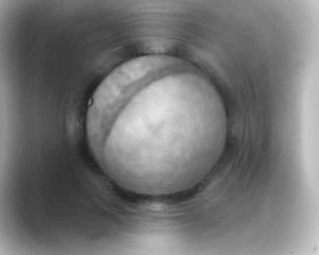 X0000088690743200706211926
