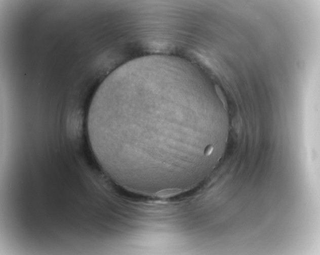X0000088690744200706211926