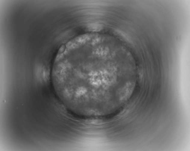 X0000088690745200706211926