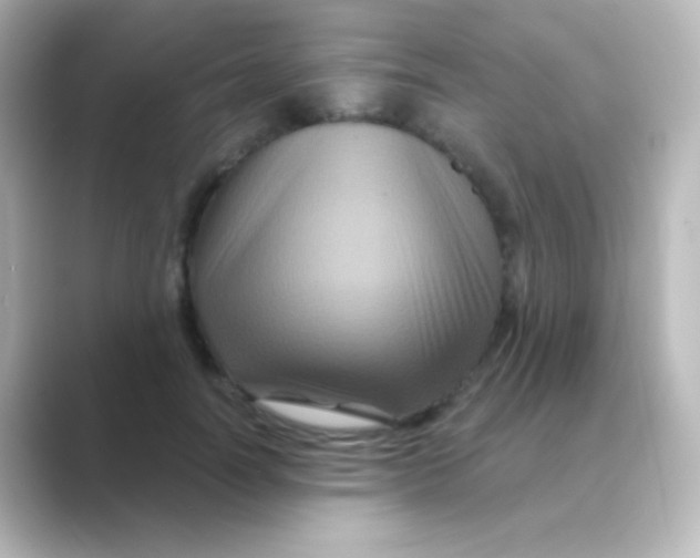 X0000088690746200706211926