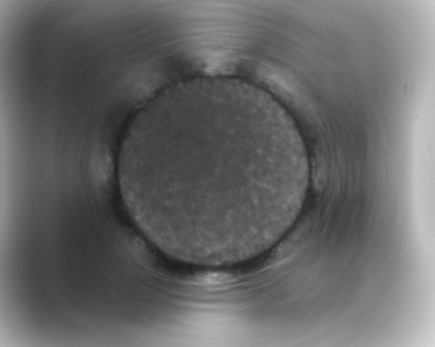 X0000088690748200706211926