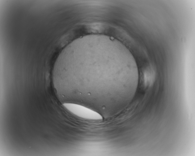 X0000088690749200706211926