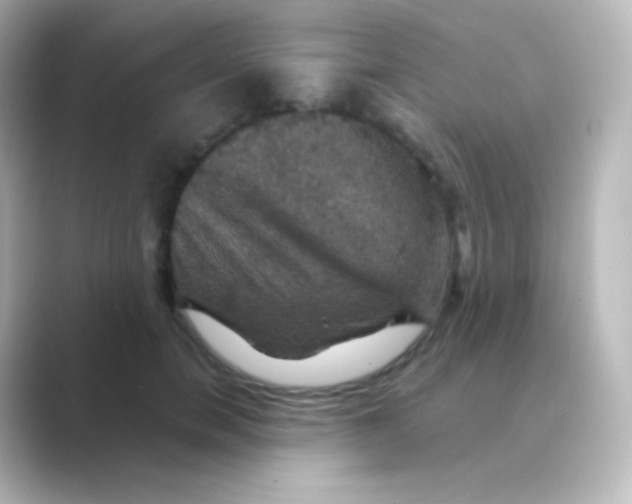 X0000088690750200706211926