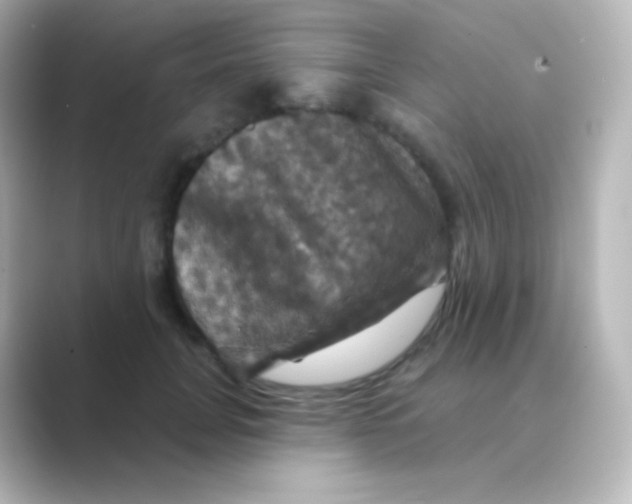 X0000088690751200706211926