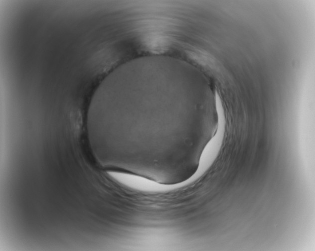 X0000088690752200706211926