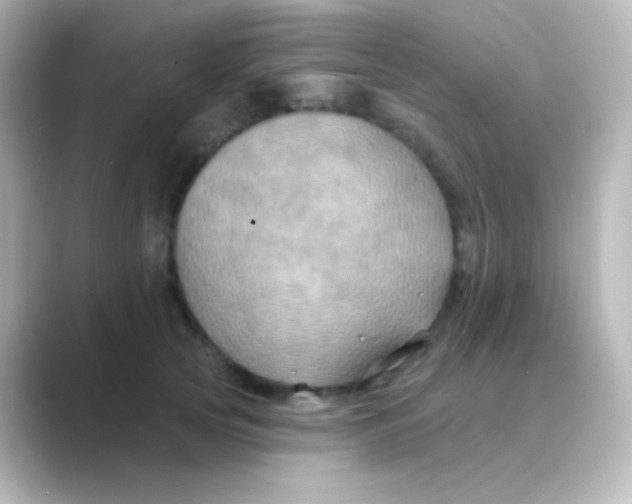 X0000088690753200706211926