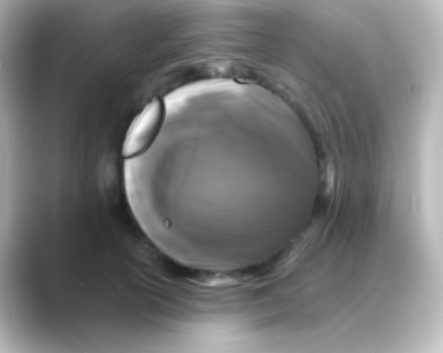 X0000088690754200706211926