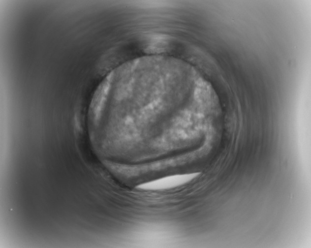 X0000088690755200706211926