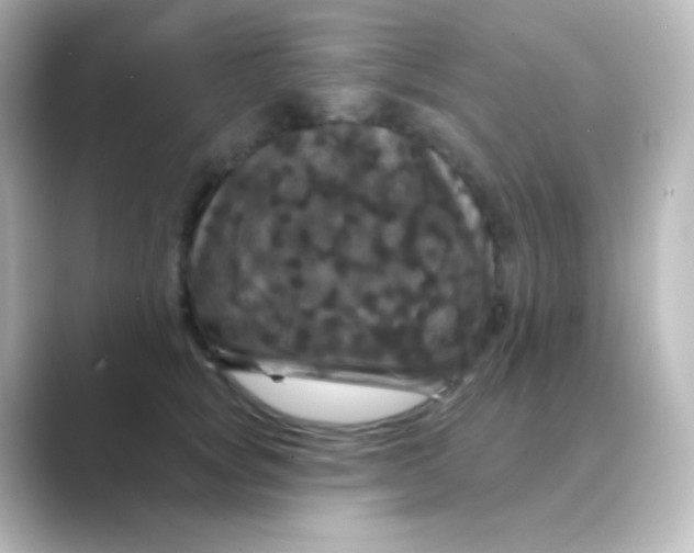 X0000088690757200706211926