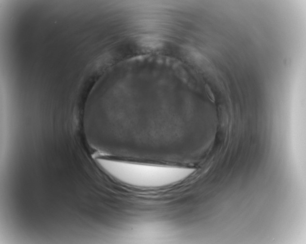 X0000088690758200706211926