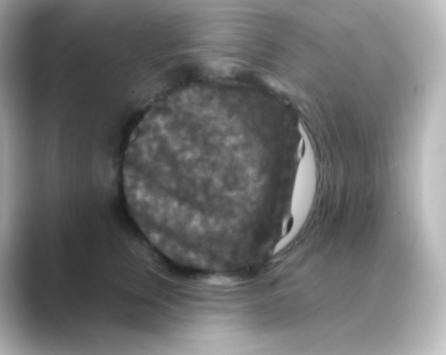 X0000088690759200706211926