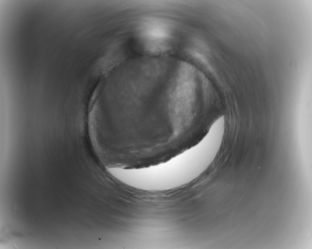 X0000088690762200706211926