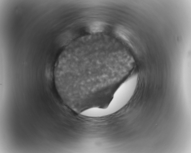 X0000088690763200706211926