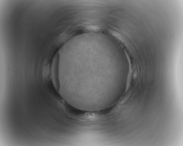 X0000088690764200706211926