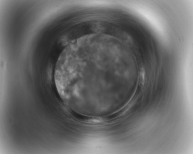 X0000088690765200706211927