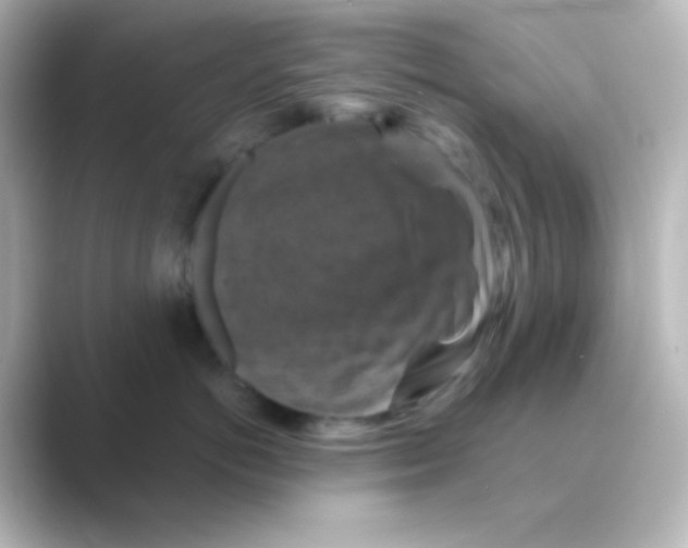 X0000088690766200706211927