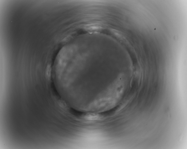 X0000088690767200706211927