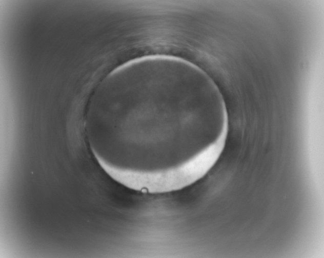 X0000088690769200706211926