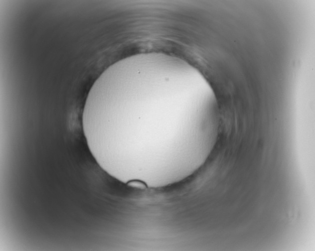 X0000088690770200706211926