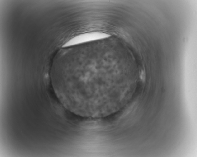 X0000088690771200706211926