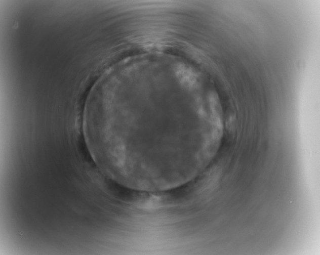 X0000088690772200706211926