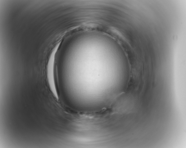 X0000088690773200706211926