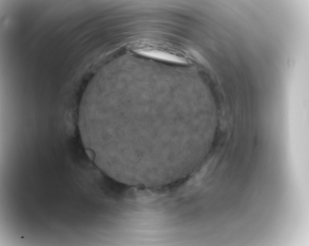 X0000088690774200706211926