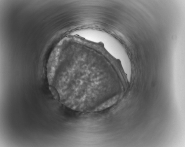 X0000088690776200706211926