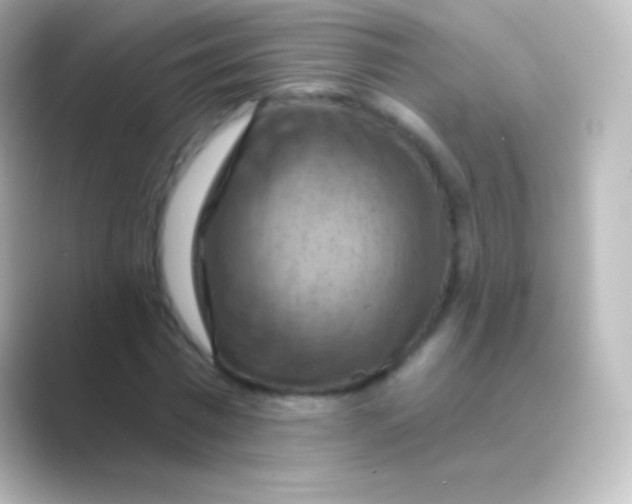 X0000088690777200706211926