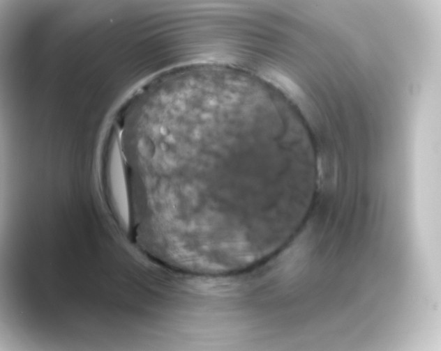X0000088690780200706211926